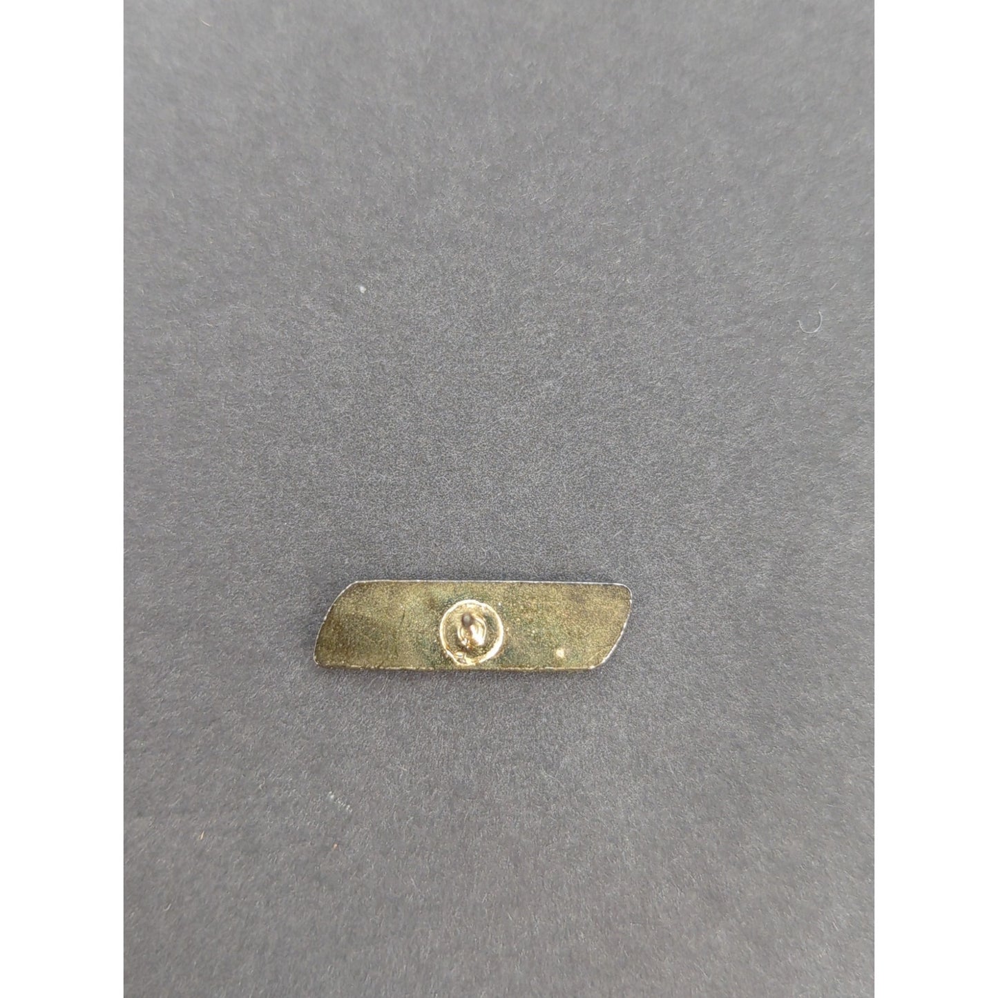 A Second Lieutenant (golden bar) is the entry-level officer rank, No back pin