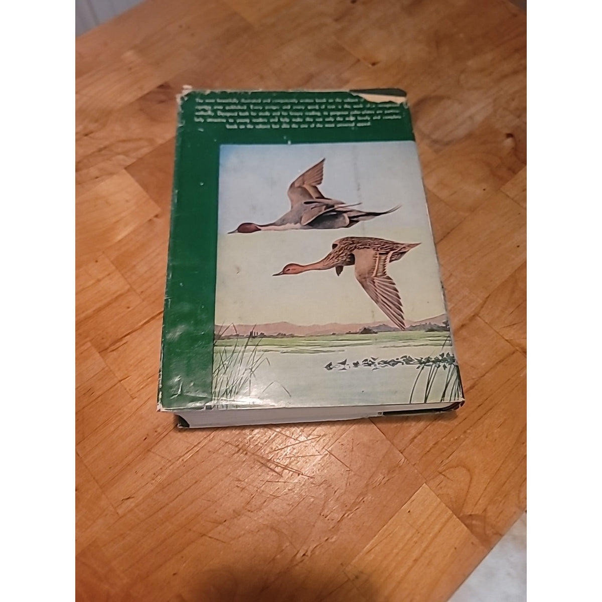 Excellent 1936 BIRDS OF AMERICA c/ Louis Agassiz Fuertes Plates all 3 Vols in 1
