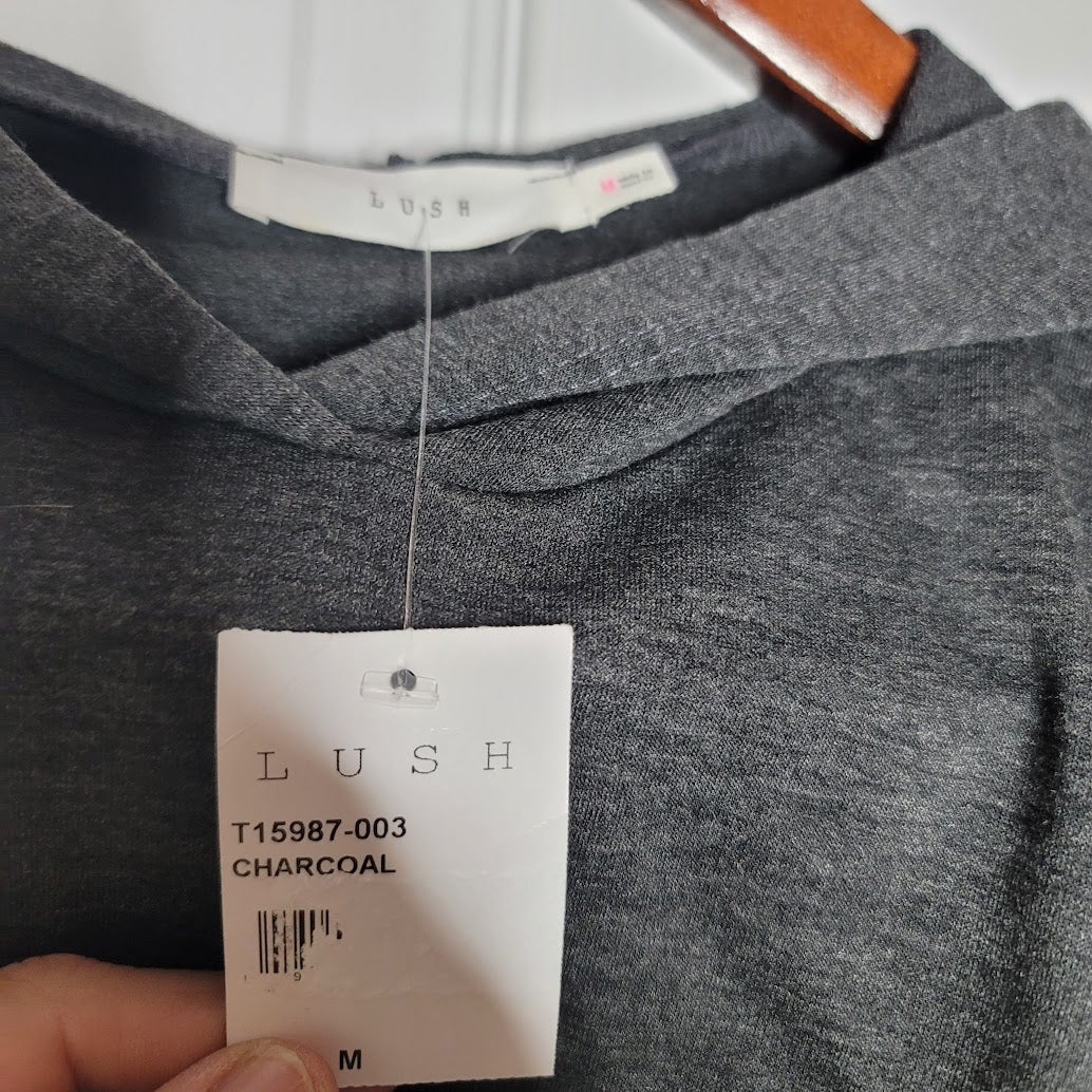 Lush Charcoal Gray Cropped Sweatshirt Pullover Hoodie Medium long sleeve NEW