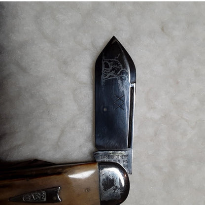 Case XX Tested Folding Pocket KNIFE Elephant Toenail 52050 Sambar Stag  94