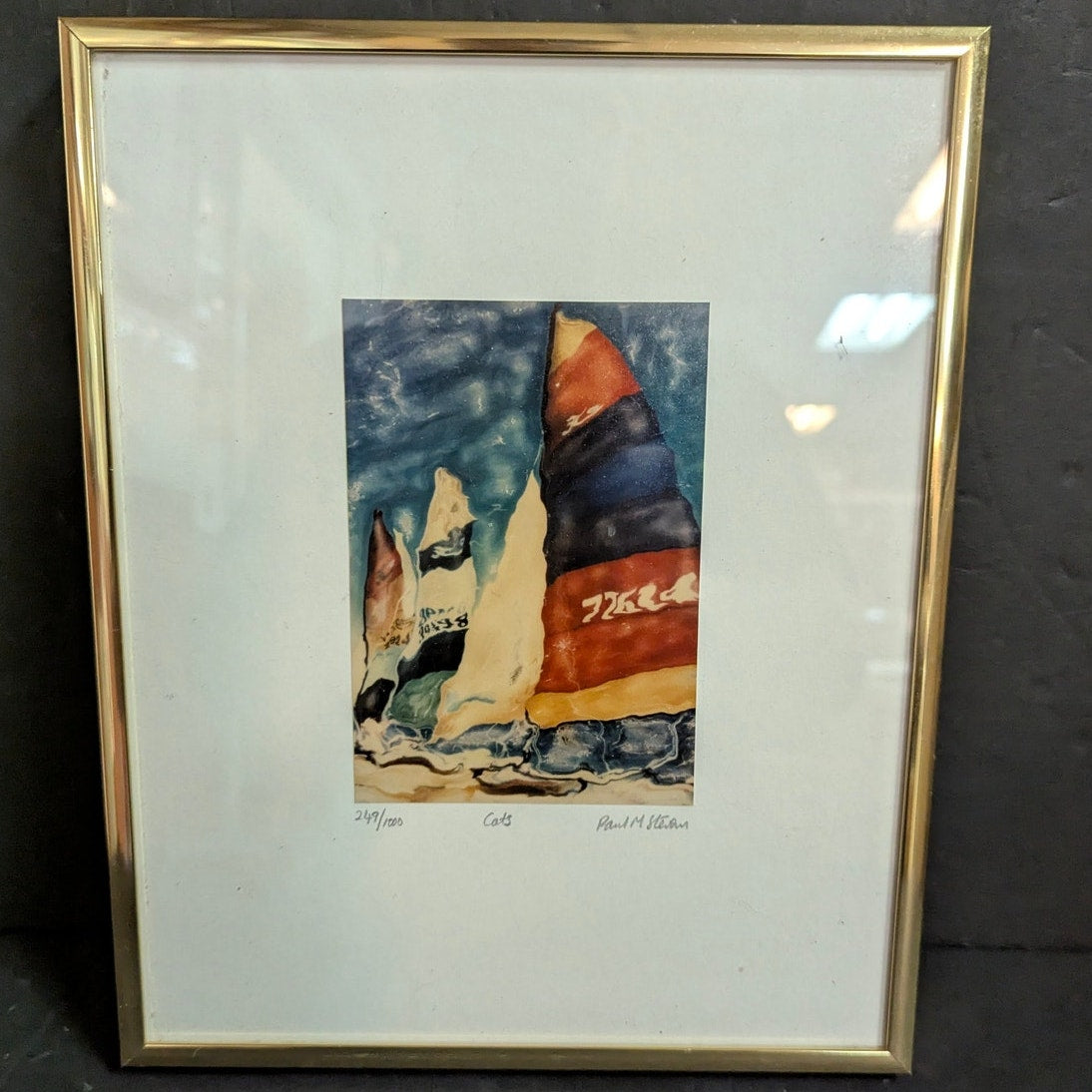249/1000 CATS by Paul M. Stevens ? Framed Catamarans Art Print Glass Metal