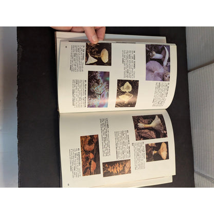 Vintage A Field Guide to Mushrooms and Their Relatives Booth Courtenay 1982