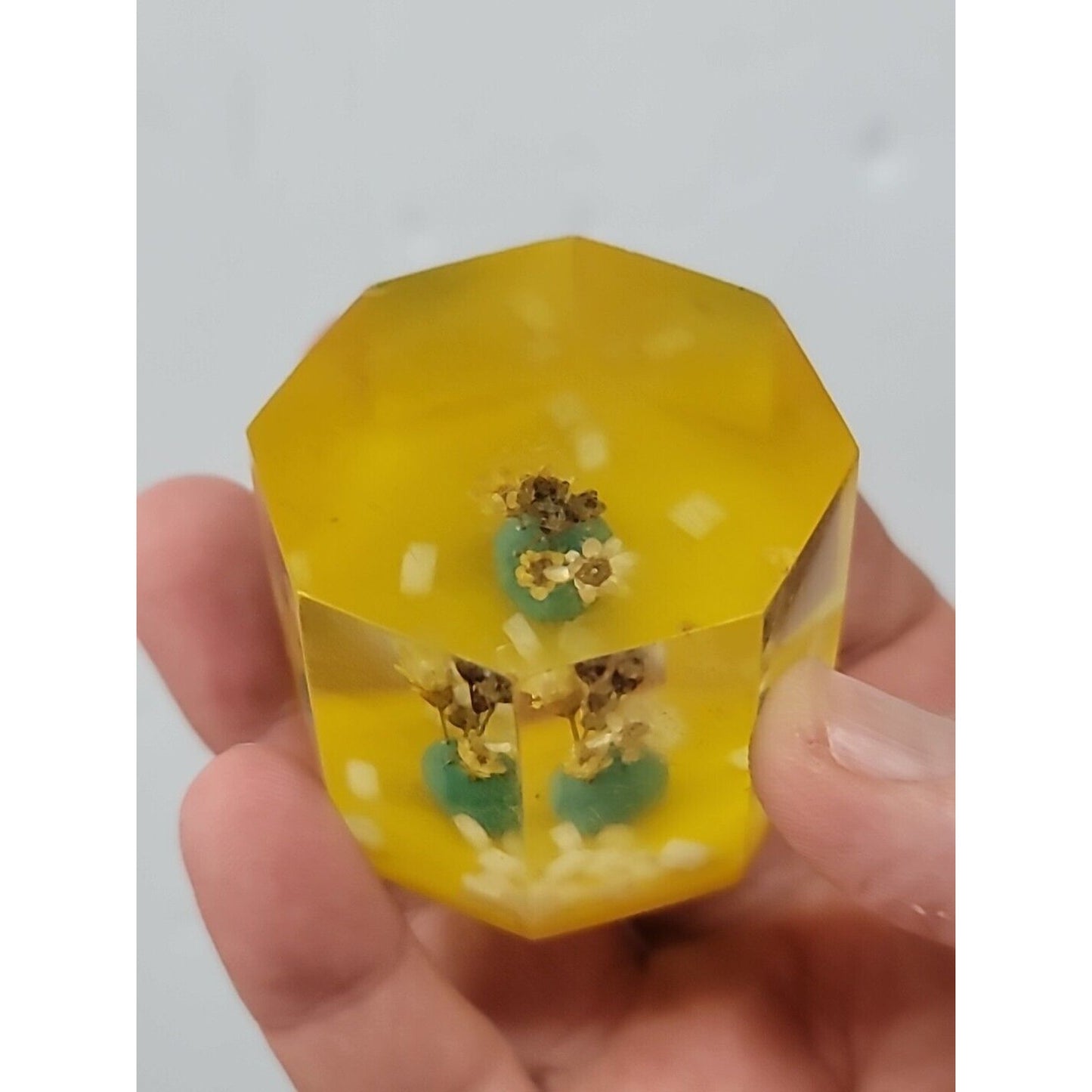 Vintage Facet Lucite Paperweight w/ Flowers Shell Inside