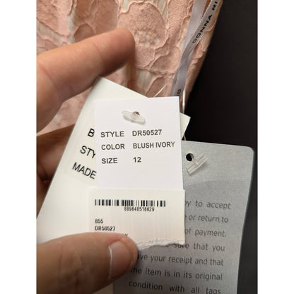 Donna Ricco Sleeveless Floral Lace Overlay Blush Pink Dress Size 12  cocktail