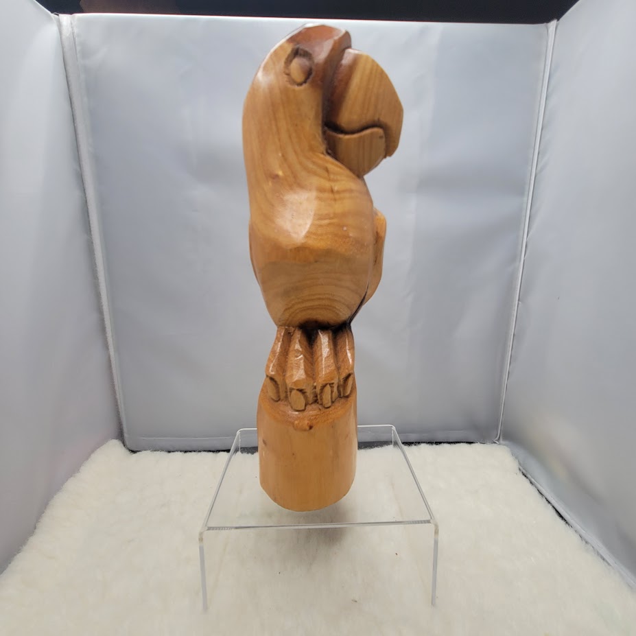 Artisan Hand-Carved Tropical Wood Parrot Figurine - Signed tropical Bird Avian