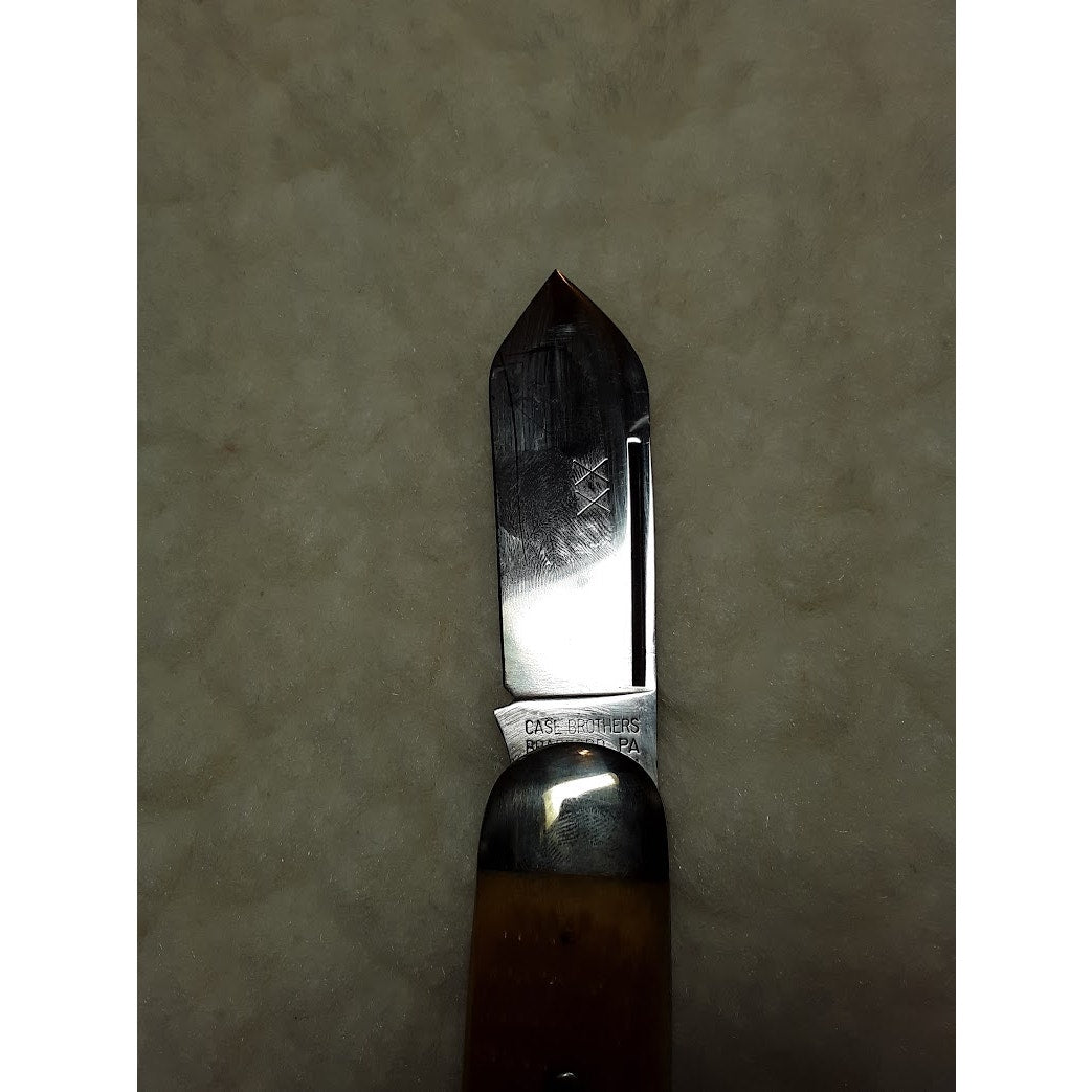 Case XX Folding Pocket KNIFE Elephant Toenail 62050 Light Brown Bone Sunfish 94