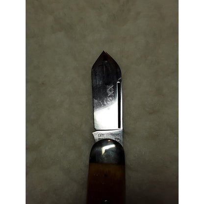 Case XX Folding Pocket KNIFE Elephant Toenail 62050 Light Brown Bone Sunfish 94