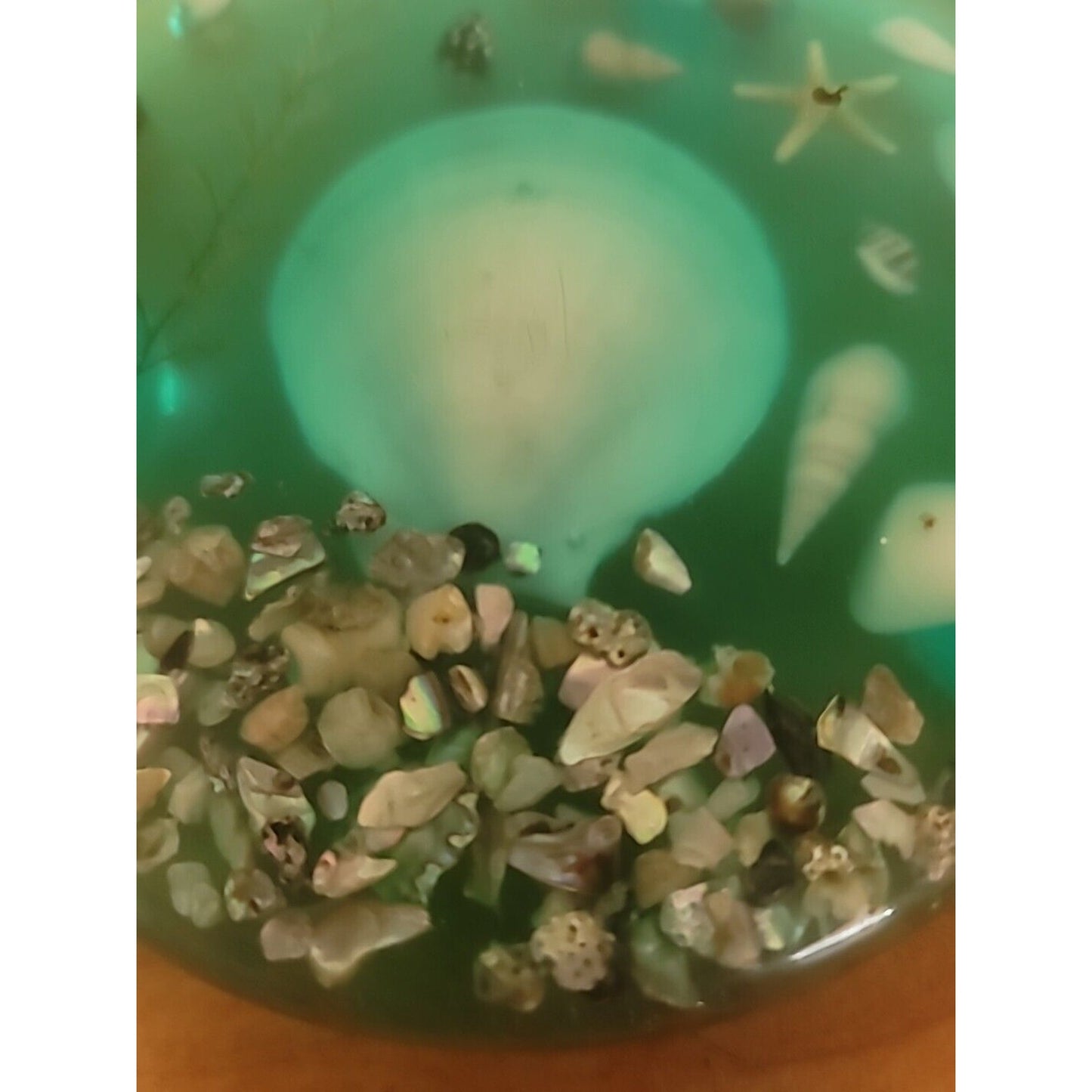 Vintage Lucite Shell & Abalone Round Trivet Green Under Water Scene 7.5" COASTAL