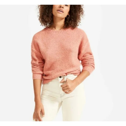Everlane Coral Teddy Heather Crew Neck Sweater Women XS New Casual Career Winter