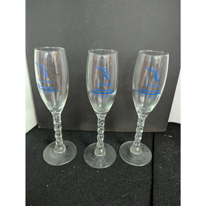 Vintage UUCF Florida 20th Anniversary Champagne Flutes Twisted Stem Glasses Trio