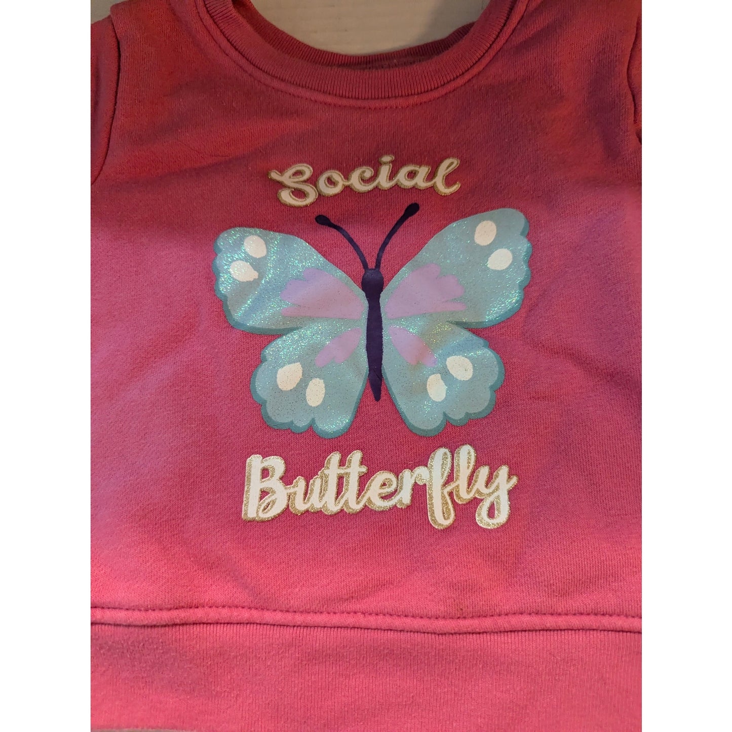 Garanimals Pink Social Butterfly Fleece Sweatshirt Long Sleeve Pullover Top 12M