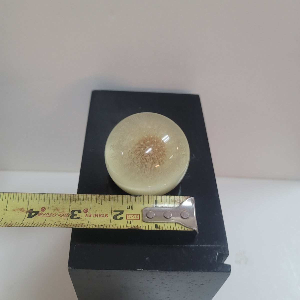 Vintage Lucite encapsulated dandelion paperweight office work Collectible flower