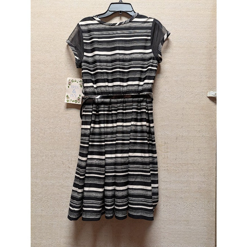 Iris & Ivy Size 16 black White Dress & Belt short sleeve pleated front sheer top