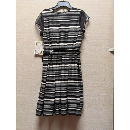 Iris & Ivy Size 16 black White Dress & Belt short sleeve pleated front sheer top