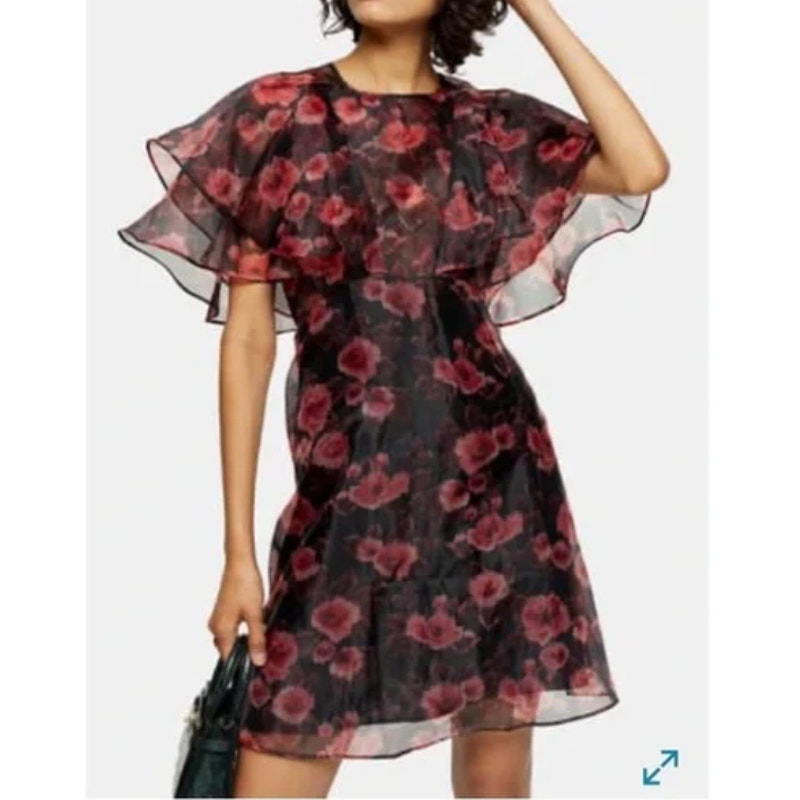 Topshop NEW Organza Size 4 womens MINI flounce Dress Sheer floral Poppies