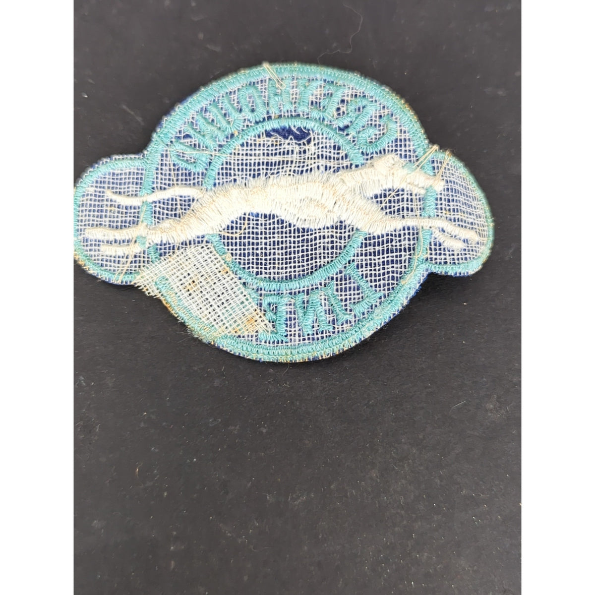 Vintage Greyhound Lines Driver Uniform Sew On Patch Blue White Bus