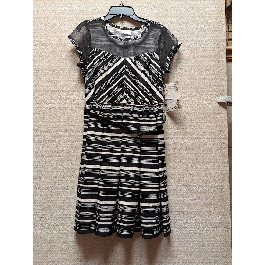 Iris & Ivy Size 16 black White Dress & Belt short sleeve pleated front sheer top