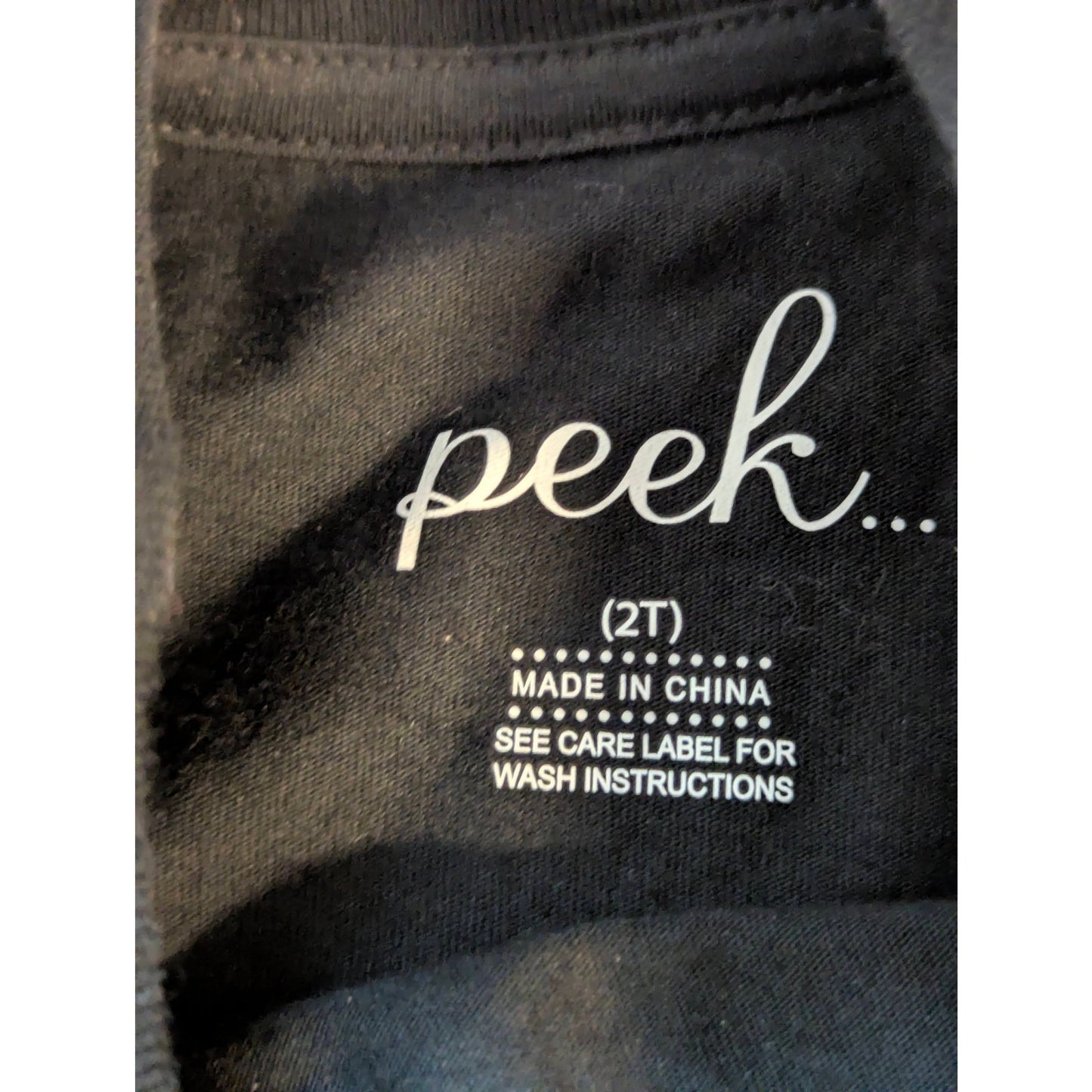 Peek Aren't You Curious Toddler Girls Halloween Witch Graphic T-Shirt 2T