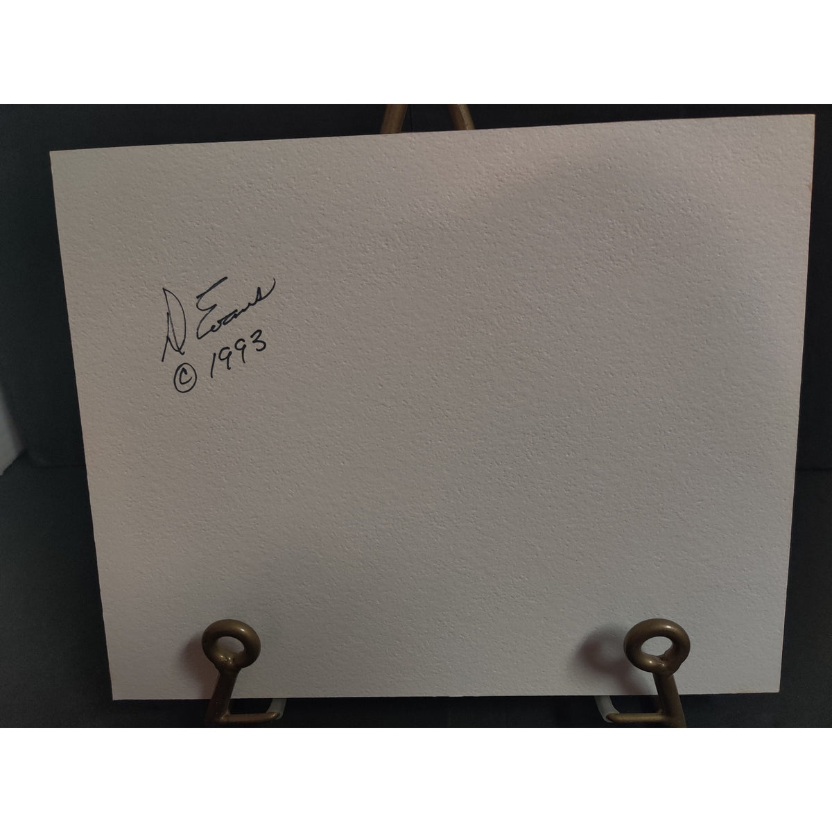 Original Beautyberry Botanical Photograph Signed Dan Evans 1993 Matted