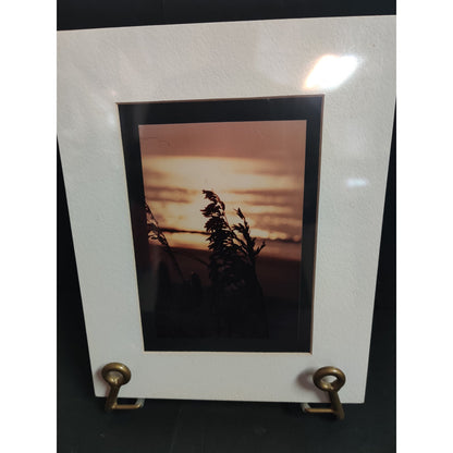 Original Sunset Marsh Silhouette Photograph Signed Dan Evans 1993
