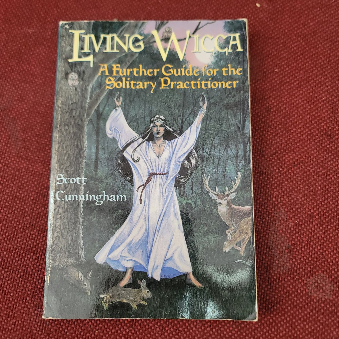 Living Wicca Further Guide for solitary Practitioner Scott Cunningham Paperback