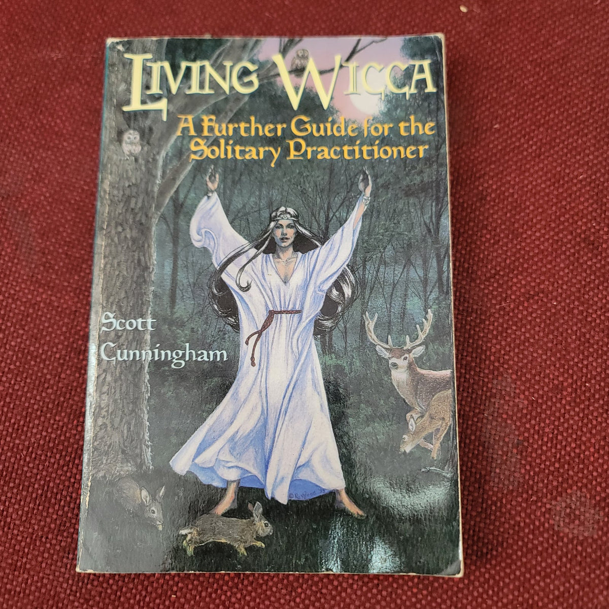 Living Wicca Further Guide for solitary Practitioner Scott Cunningham Paperback