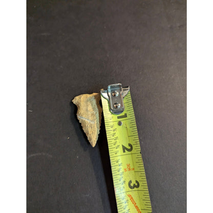 Authentic Vintage Native American Arrowhead and Scraper Stone Tool Lot