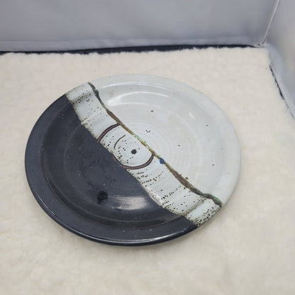 Donald Penny Signed Studio Art Pottery Pitcher and Plate Earth tones