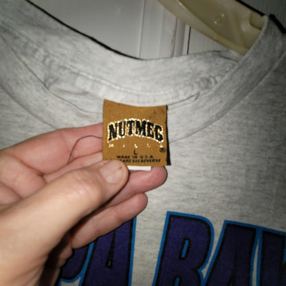 Vintage Tampa Bay Devil Rays Nutmeg T-Shirt 90s Y2K MLB Sportswear Grey Large