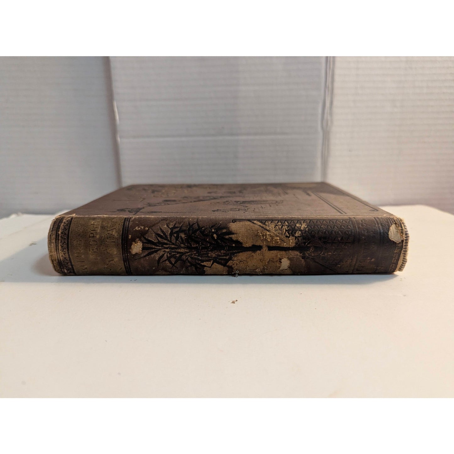 Antique 1885 Little People of Asia Hardcover Book Olive Thorne Miller Dutton