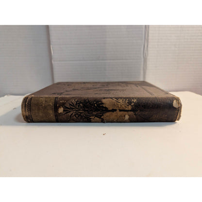 Antique 1885 Little People of Asia Hardcover Book Olive Thorne Miller Dutton