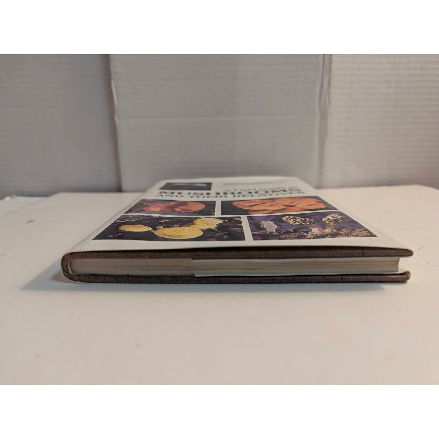 Vintage A Field Guide to Mushrooms and Their Relatives Booth Courtenay 1982