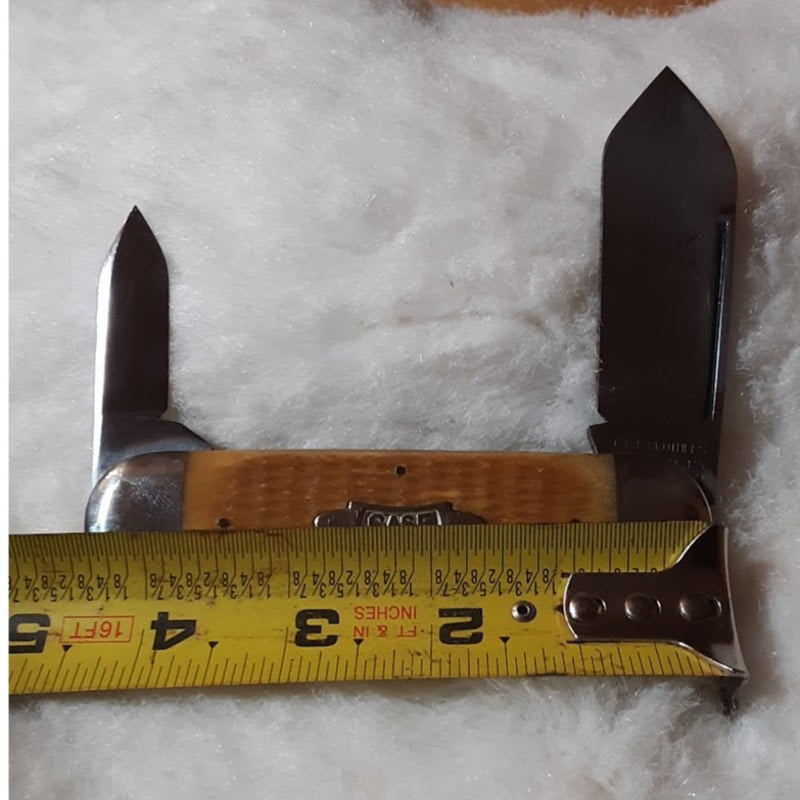 Case XX Folding Pocket KNIFE Elephant Toenail 62050 Light Brown Bone Sunfish 94