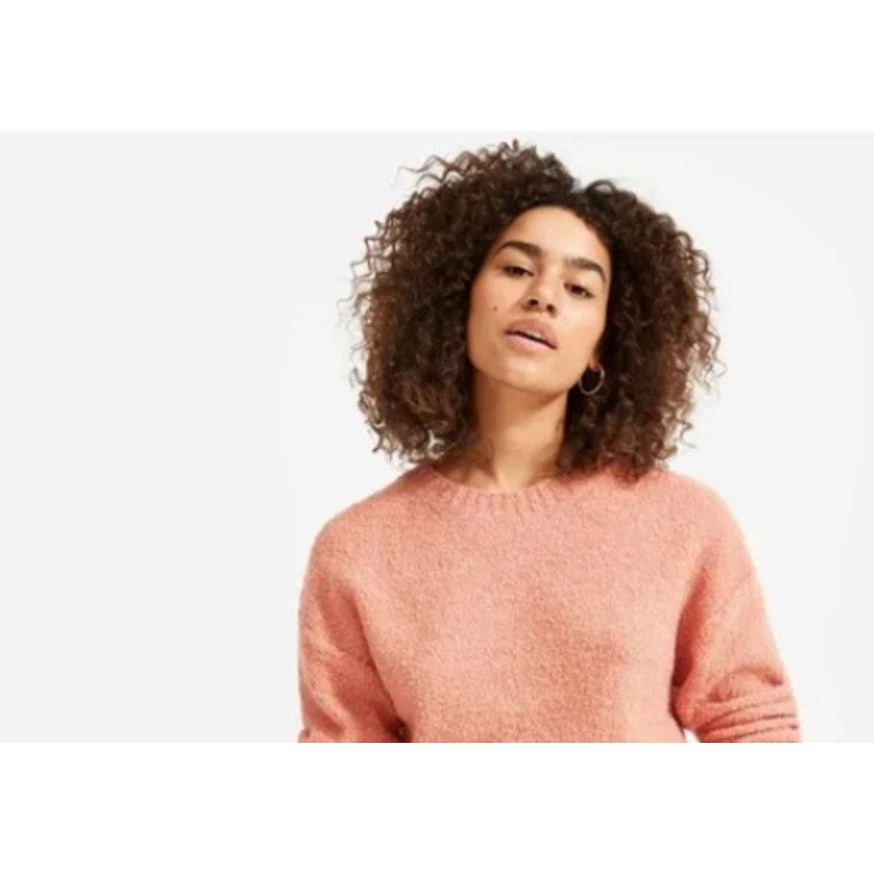 Everlane Coral Teddy Heather Crew Neck Sweater Women XS New Casual Career Winter