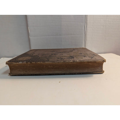 Antique 1885 Little People of Asia Hardcover Book Olive Thorne Miller Dutton