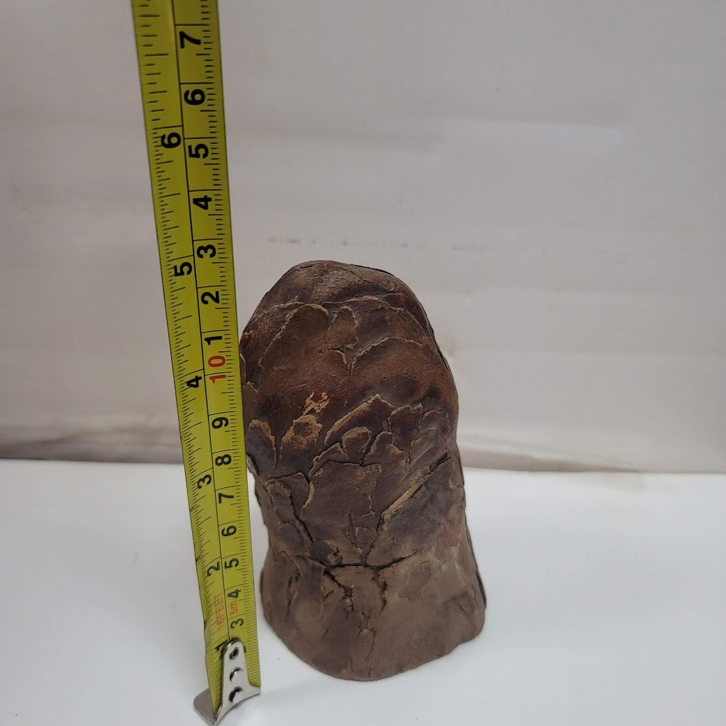Hand Carved Bob Evan 1984 Tree wood Knob Knee Sculpture MAN GNOME FACE TREEBEARD