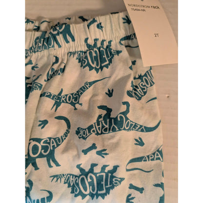 Sleep On It Toddler Boys Dinosaur Striped Pajama Pants Size 2T NWT