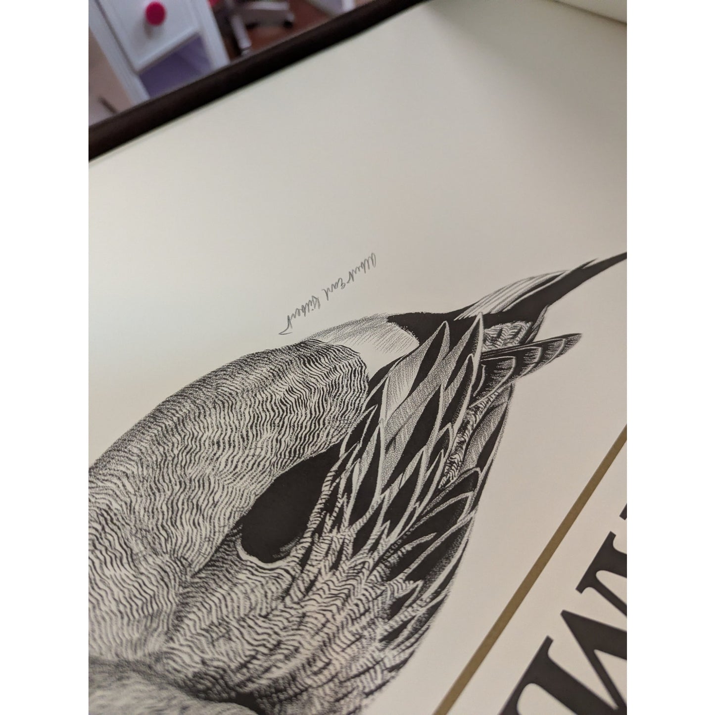 Ducks Unlimited Waterfowl Limited Edition Bound Signed Portfolio Book 1987