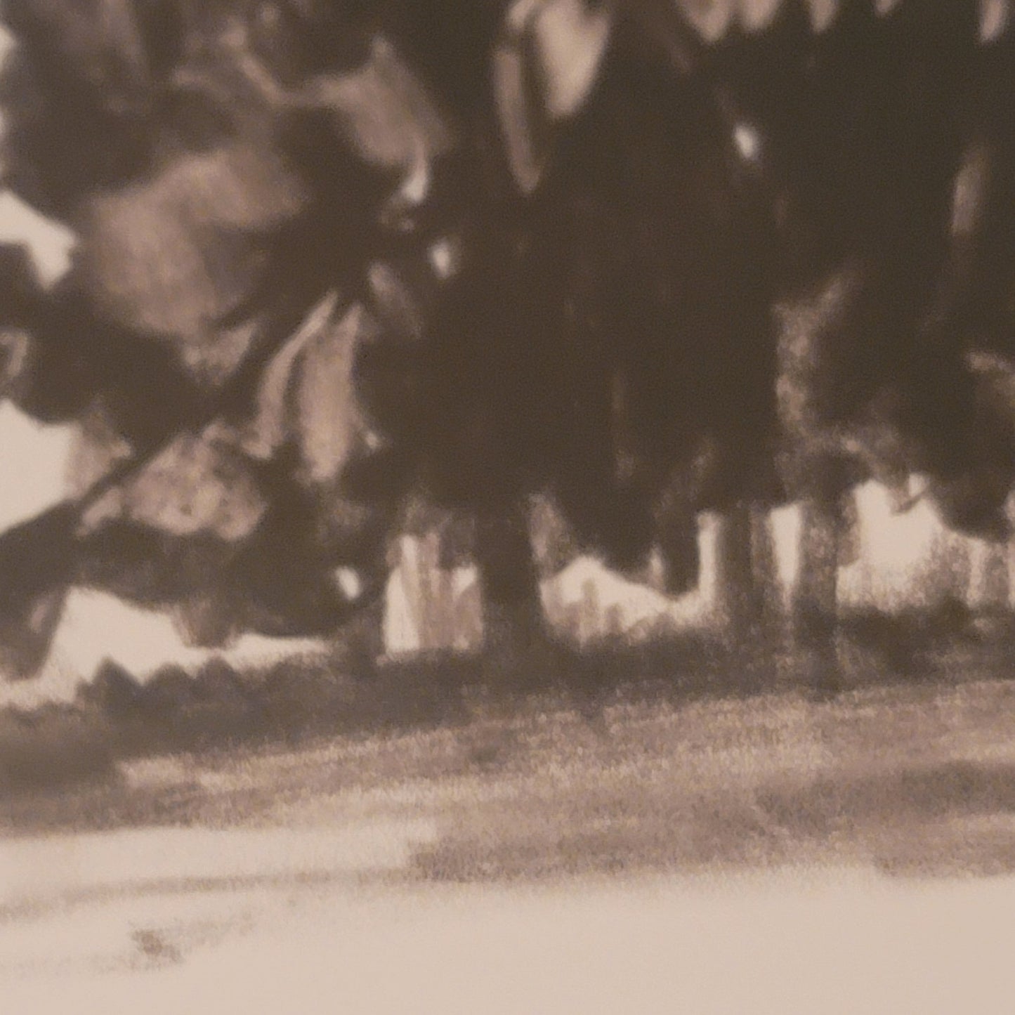 Vintage Minimalist Charcoal Landscape Sketch Framed Wall Art Dark Academia Print