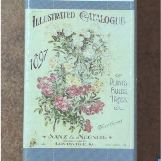 Redesign with Prima Nanz Neuner Roses 11 X 14 Shabby Chic Vintage Decor Transfer