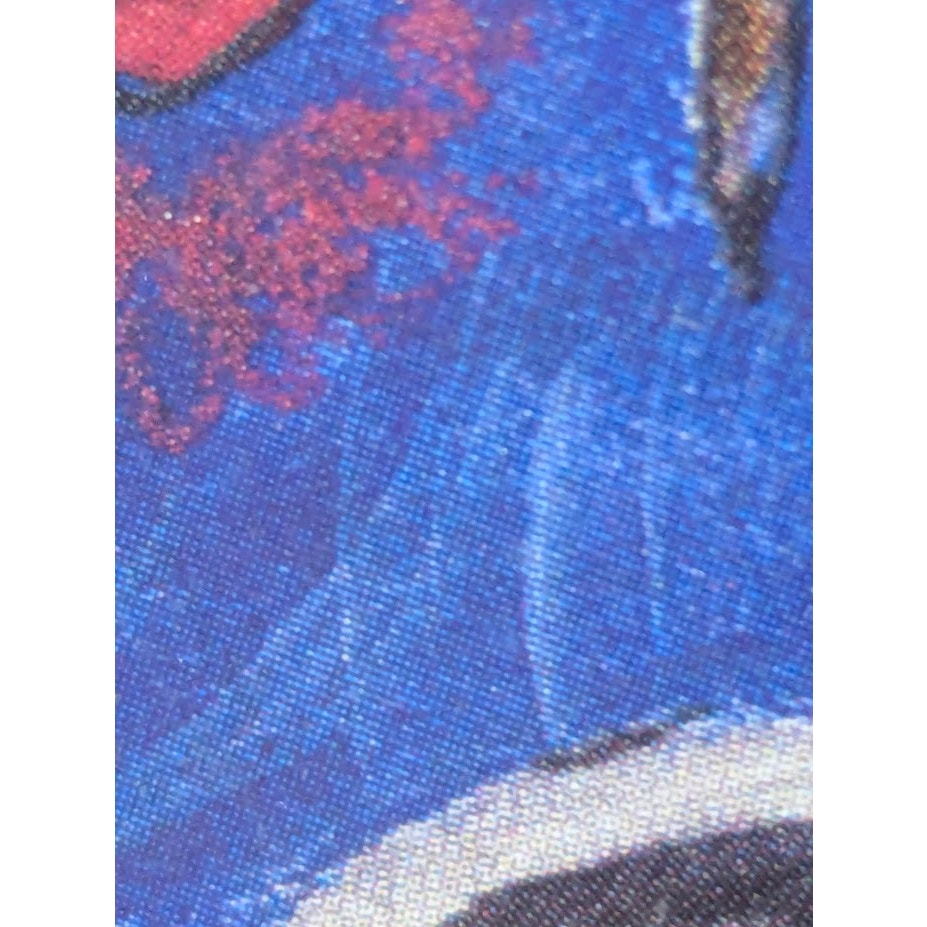 Honey Hilliard "Starry Night" Florida Birds Framed Giclée | 18" x 14"