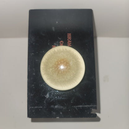 Vintage Lucite encapsulated dandelion paperweight office work Collectible flower
