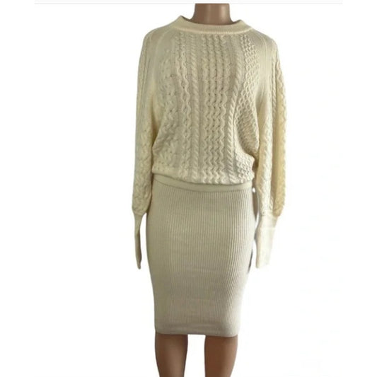AllSaints Dilone Knitted Lambswool Sweater Dress Size SMALL BODYCON Chalk White