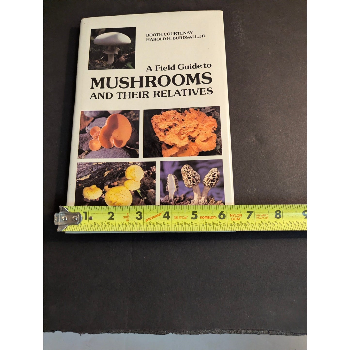 Vintage A Field Guide to Mushrooms and Their Relatives Booth Courtenay 1982
