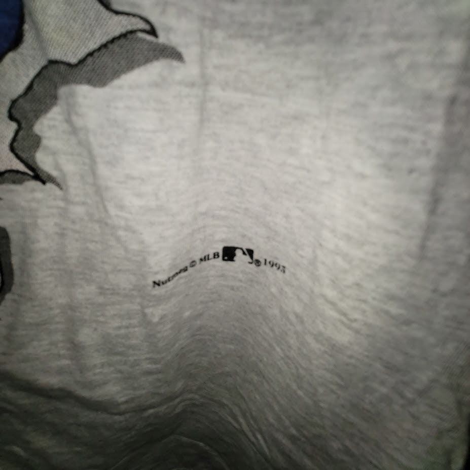 Vintage Tampa Bay Devil Rays Nutmeg T-Shirt 90s Y2K MLB Sportswear Grey Large