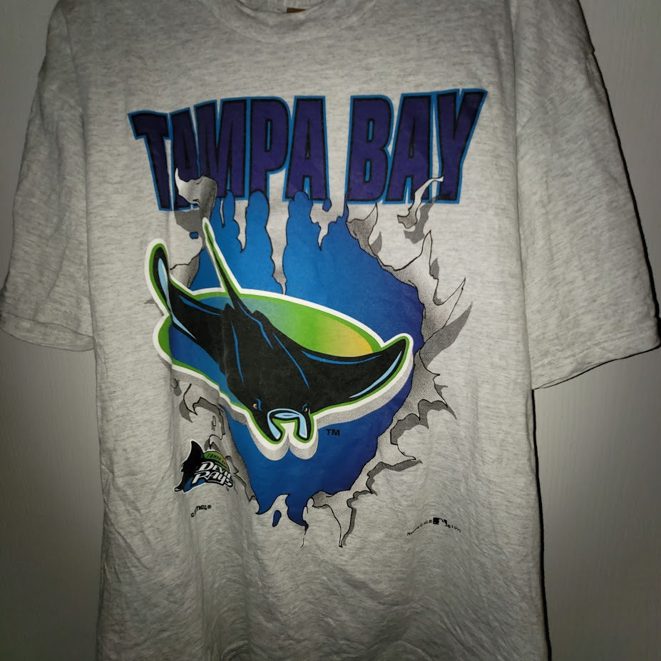 Vintage Tampa Bay Devil Rays Nutmeg T-Shirt 90s Y2K MLB Sportswear Grey Large