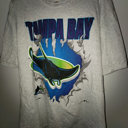 Vintage Tampa Bay Devil Rays Nutmeg T-Shirt 90s Y2K MLB Sportswear Grey Large