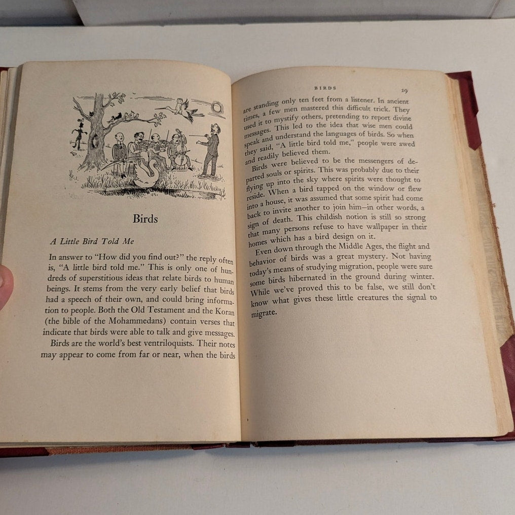 1954 First Edition Superstitious Here's Why Julie Forsyth Batchelor Hardcover