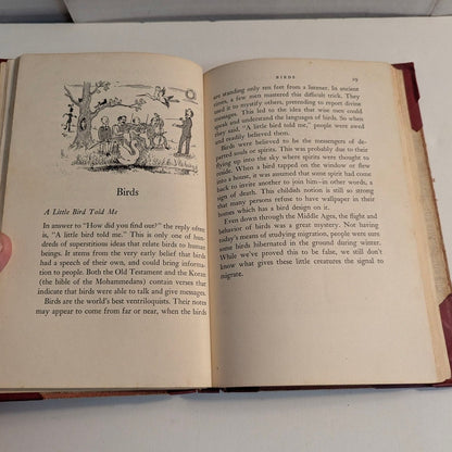 1954 First Edition Superstitious Here's Why Julie Forsyth Batchelor Hardcover