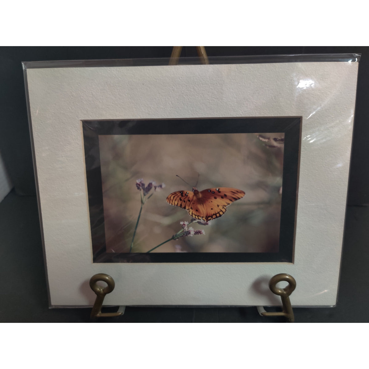 Original Orange Butterfly on Flower Photograph Signed Dan Evans Matted